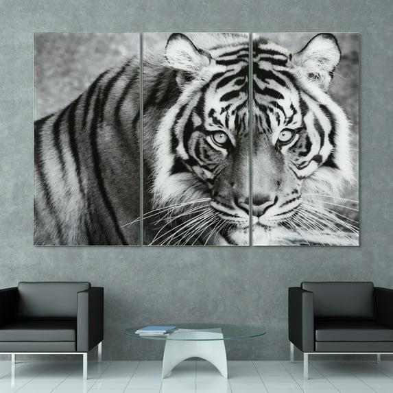 Empire Art Direct " Tiger ABC " 3 - Pieces