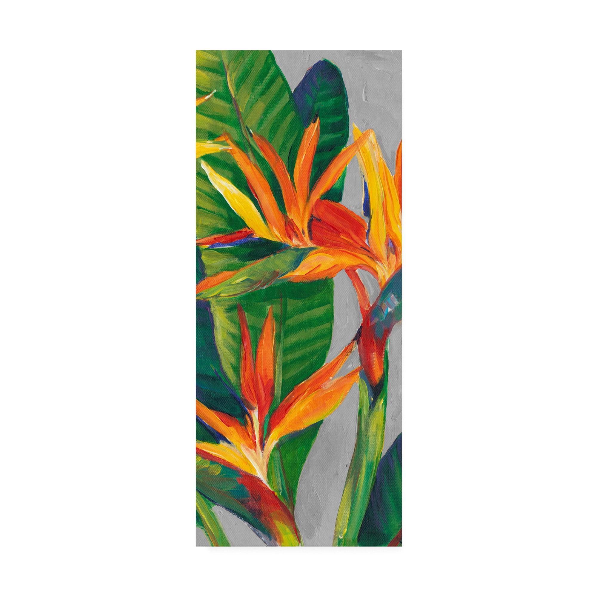 Trademark Fine Art -Tim Otoole 'Bird Of Paradise Triptych Ii' Canvas Art - 19''x8''