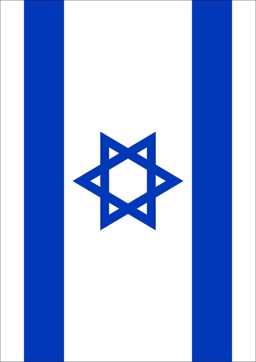 Toland Home Garden Flag of Israel House Flag