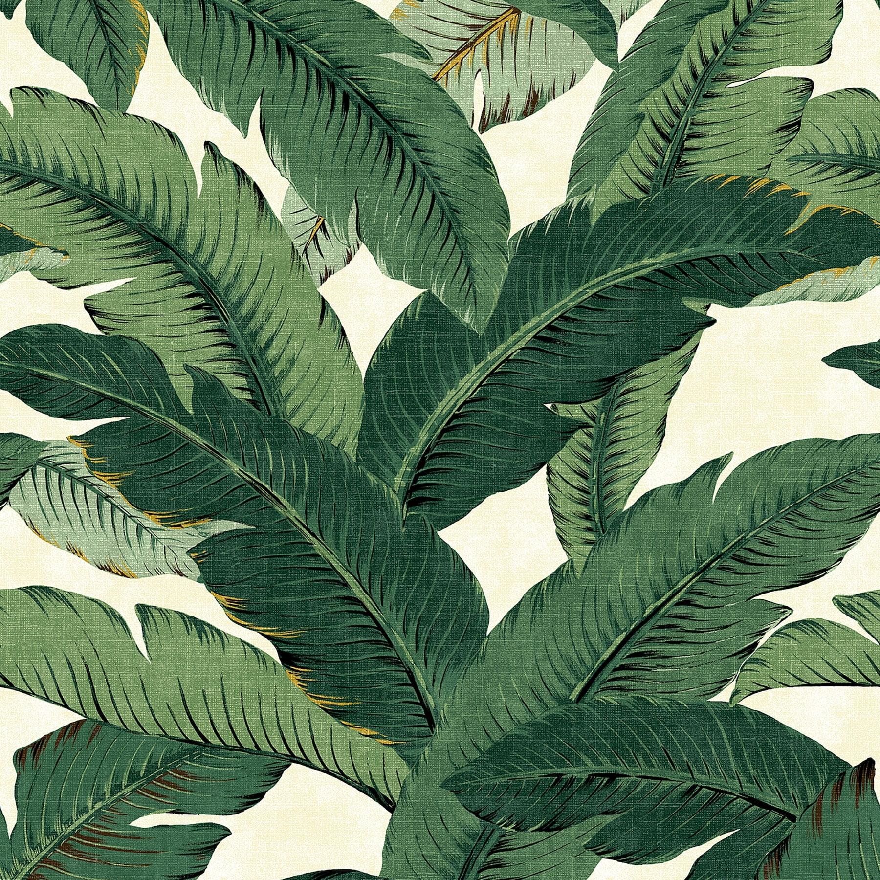 Tommy Bahama Swaying Palms 18' L x 20.5" W Peel & Stick Wallpaper Roll