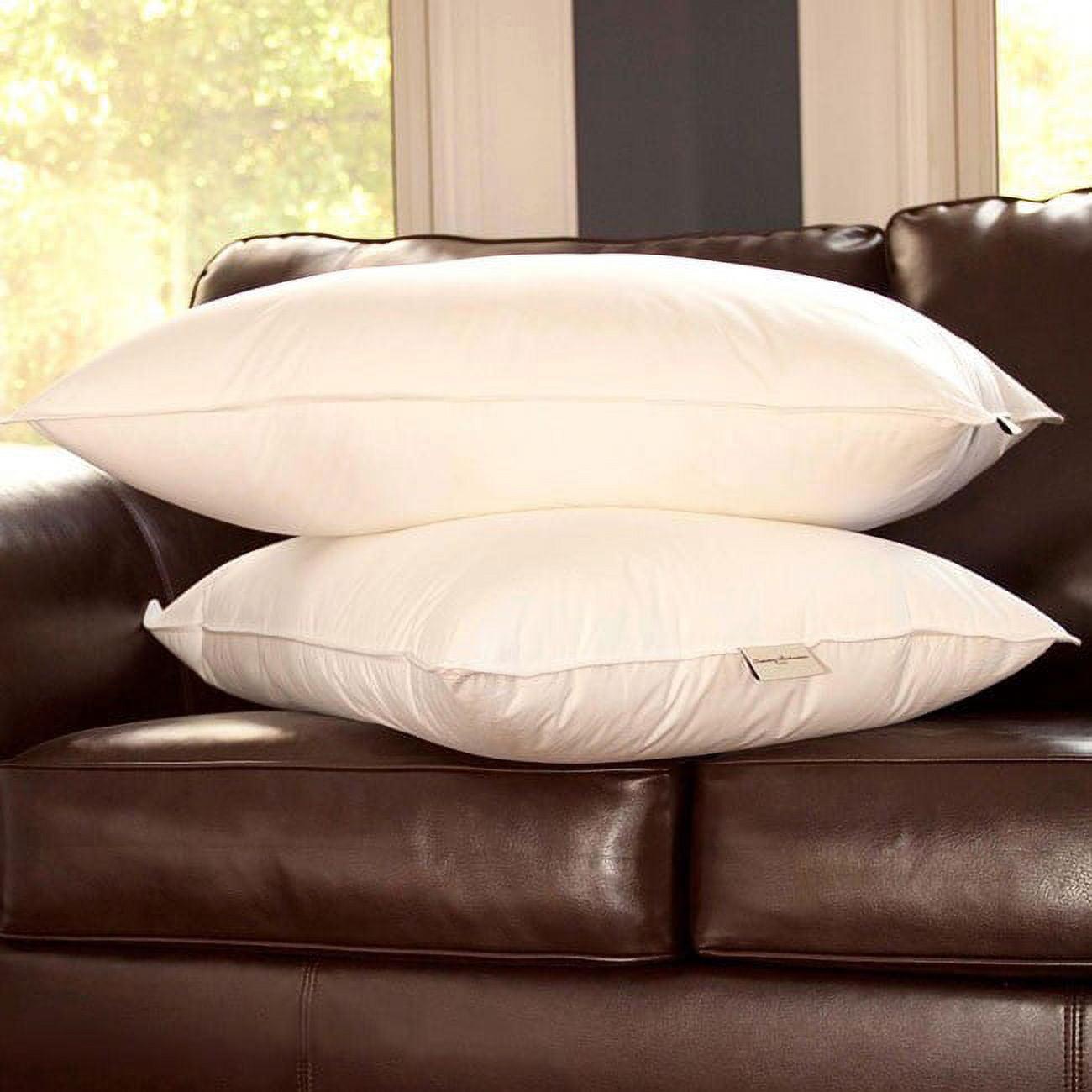 Queen White Hypoallergenic Polyester Down Alternative Pillow Set