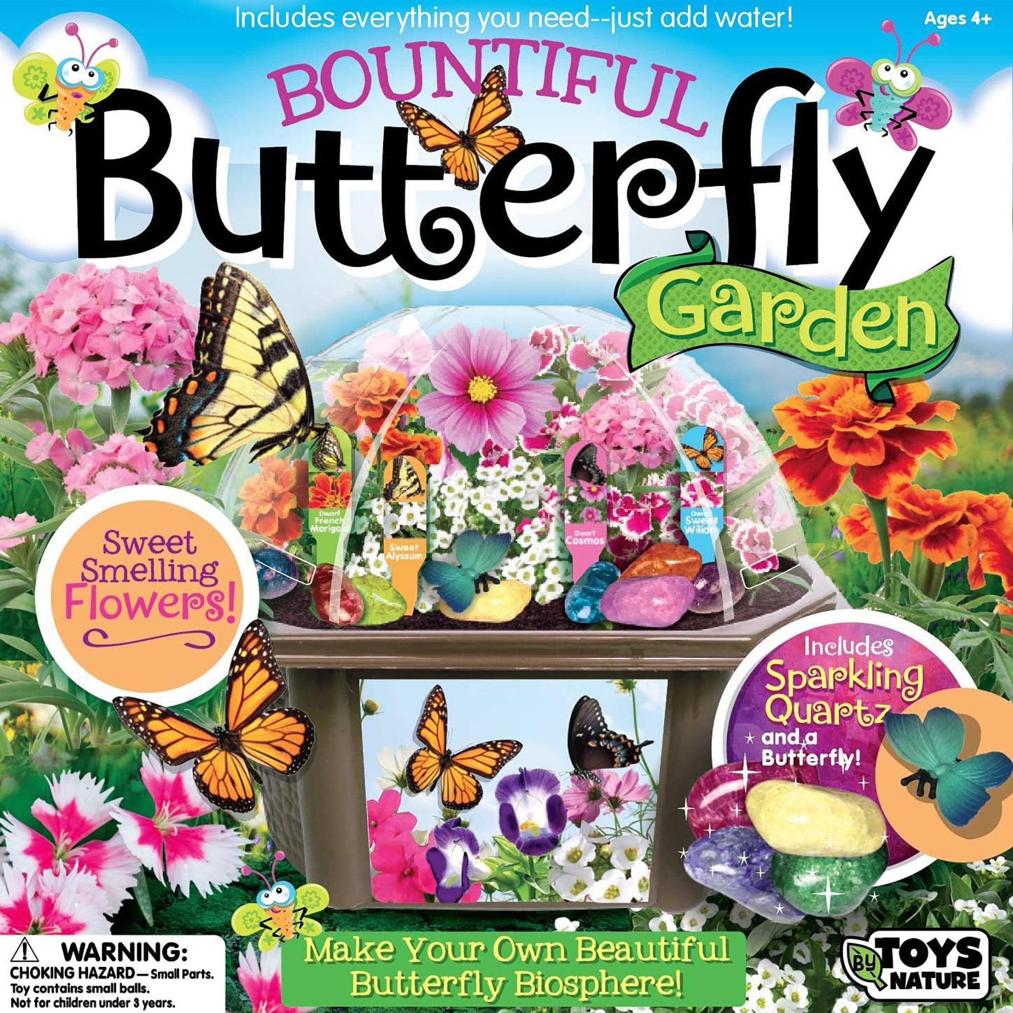 Toys By Nature: Butterfly Garden - DIY Terrarium Kit, Create Habitat