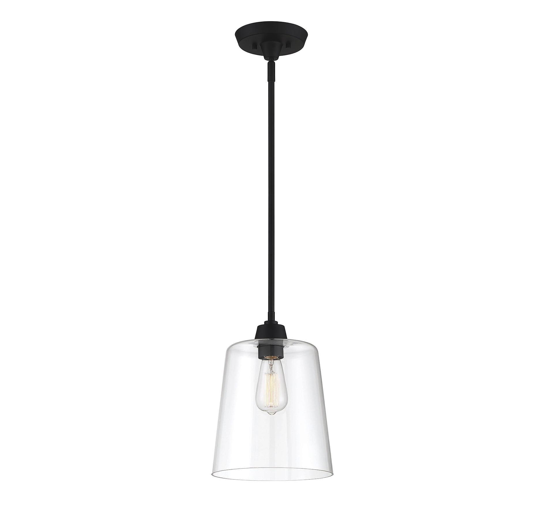 Templeton Matte Black Pendant Light with Clear Glass Shade