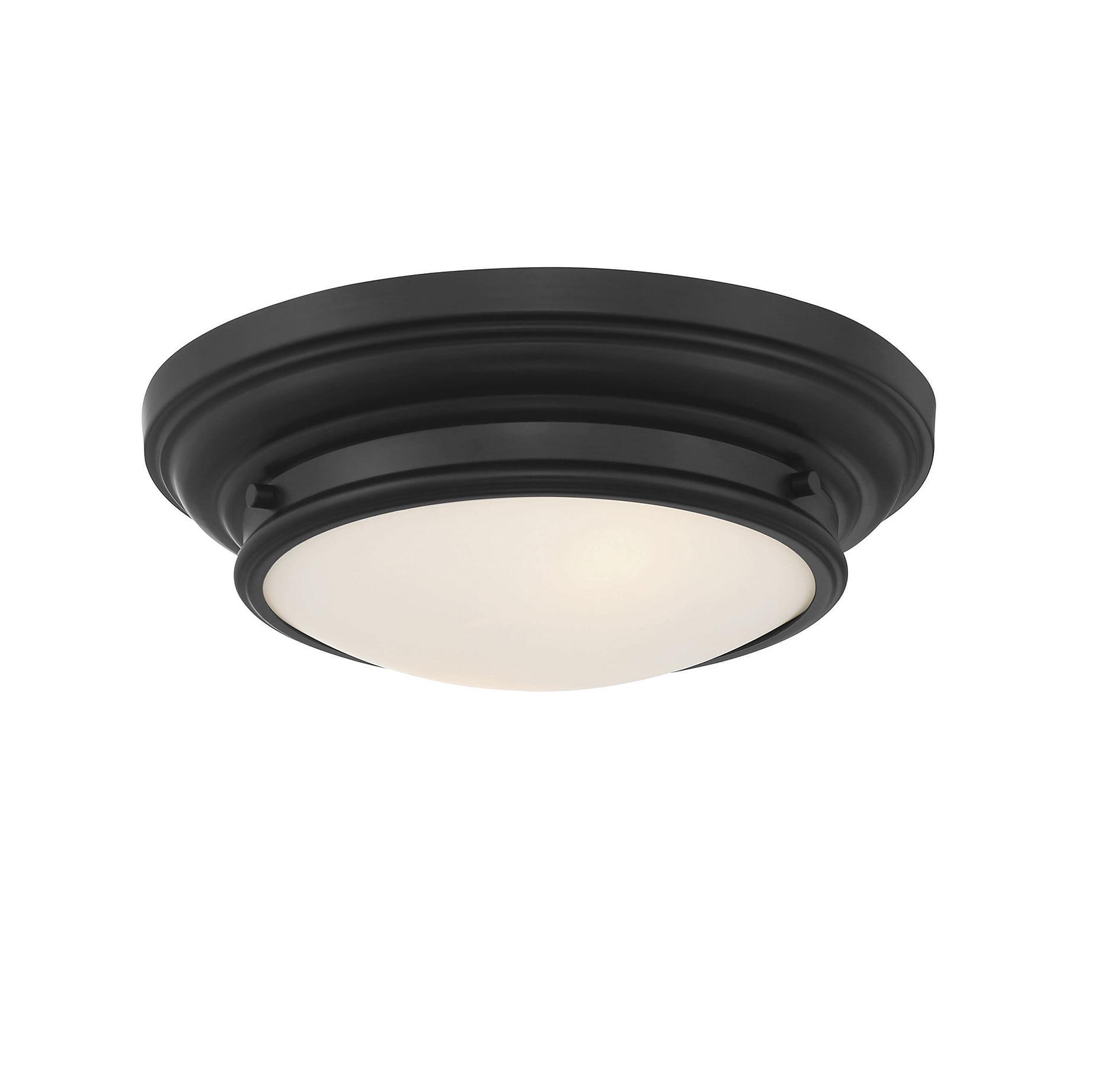 Trade Winds Lighting 2-Light Ceiling Light In Matte Black