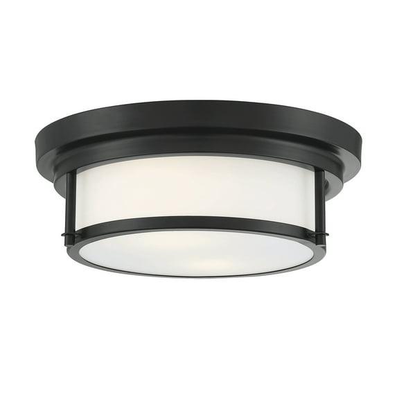 Trade Winds Lighting 2-Light Ceiling Light In Matte Black
