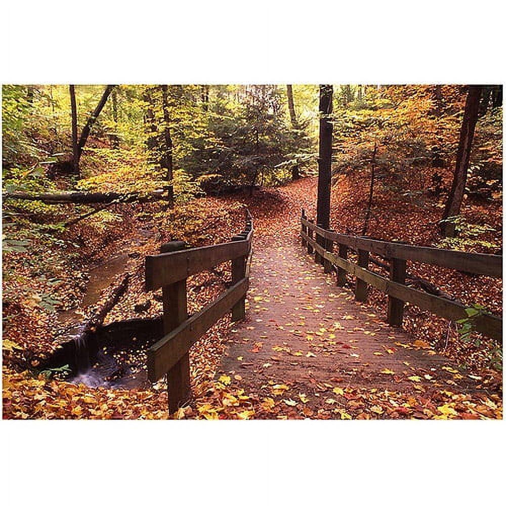 Trademark Fine Art " Autumn Bridge " by Kurt Shaffer