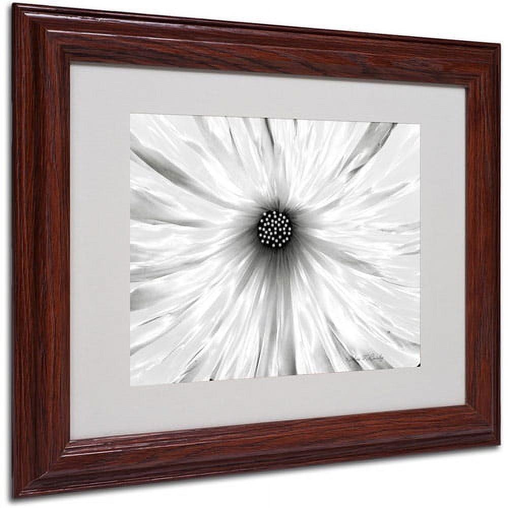 Trademark Fine Art Modern & Contemporary