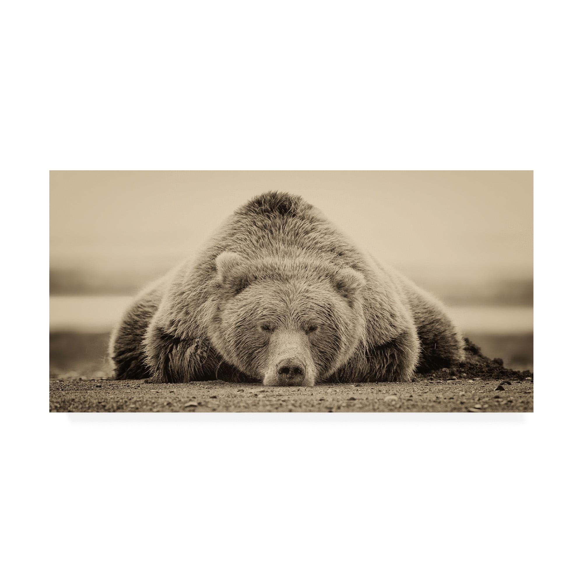 24" x 47" Phburchett 'Deep Sleep' Canvas Art