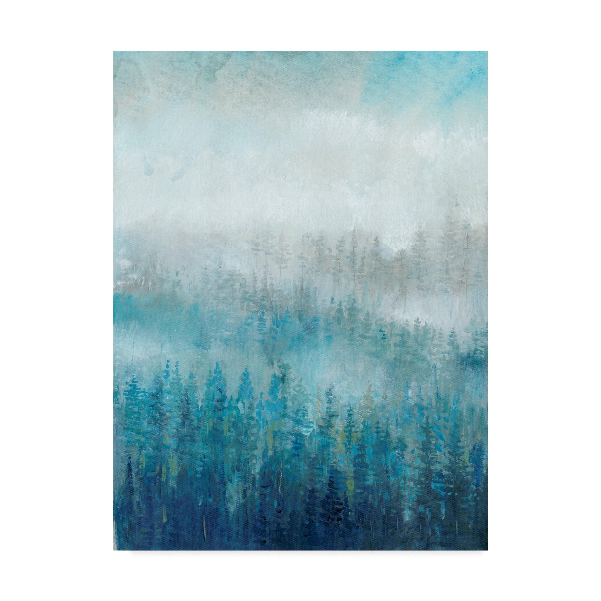 Trademark Fine Art 'Above the Mist I' Canvas Art by Tim OToole