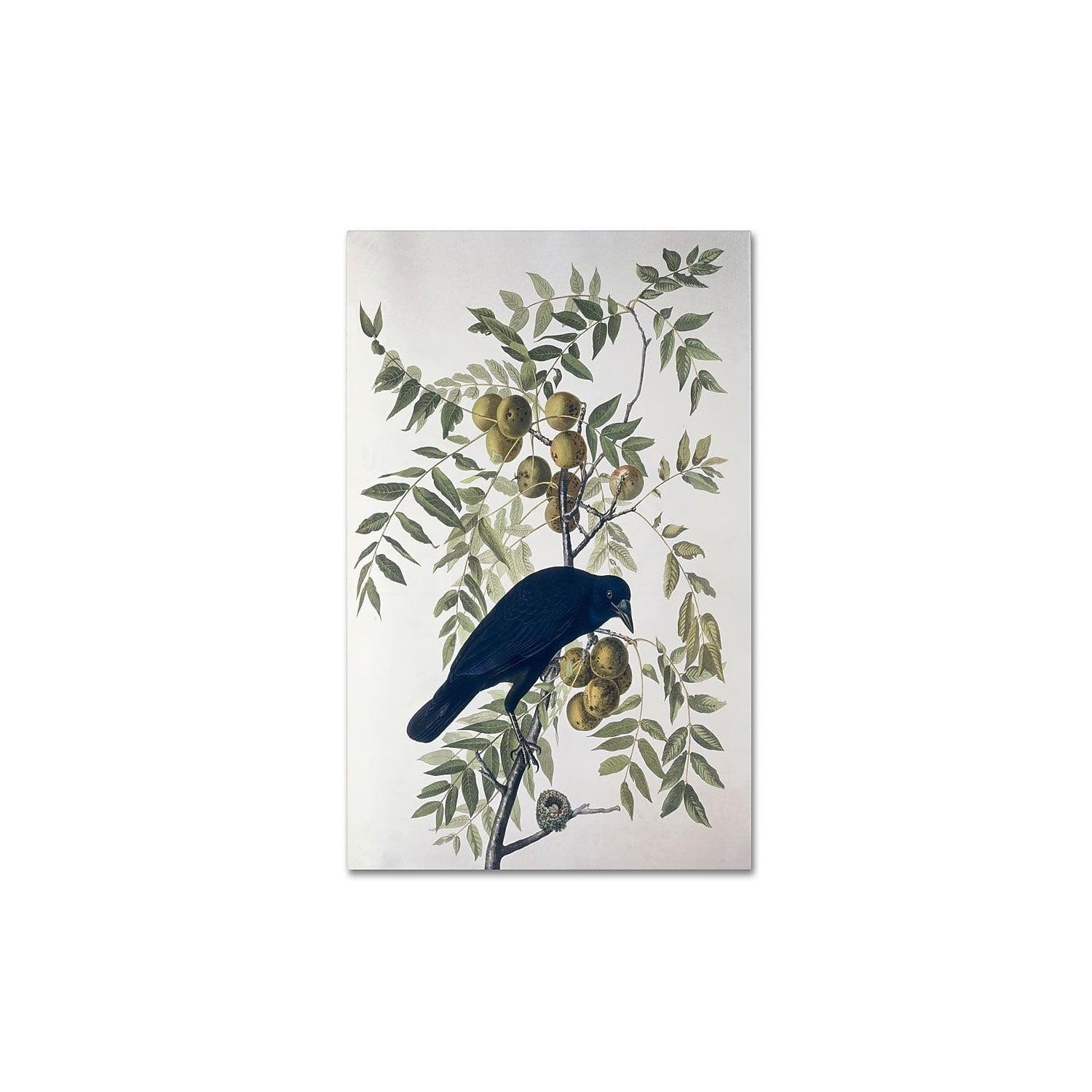 American Crow Perched on Branch Canvas Art Print