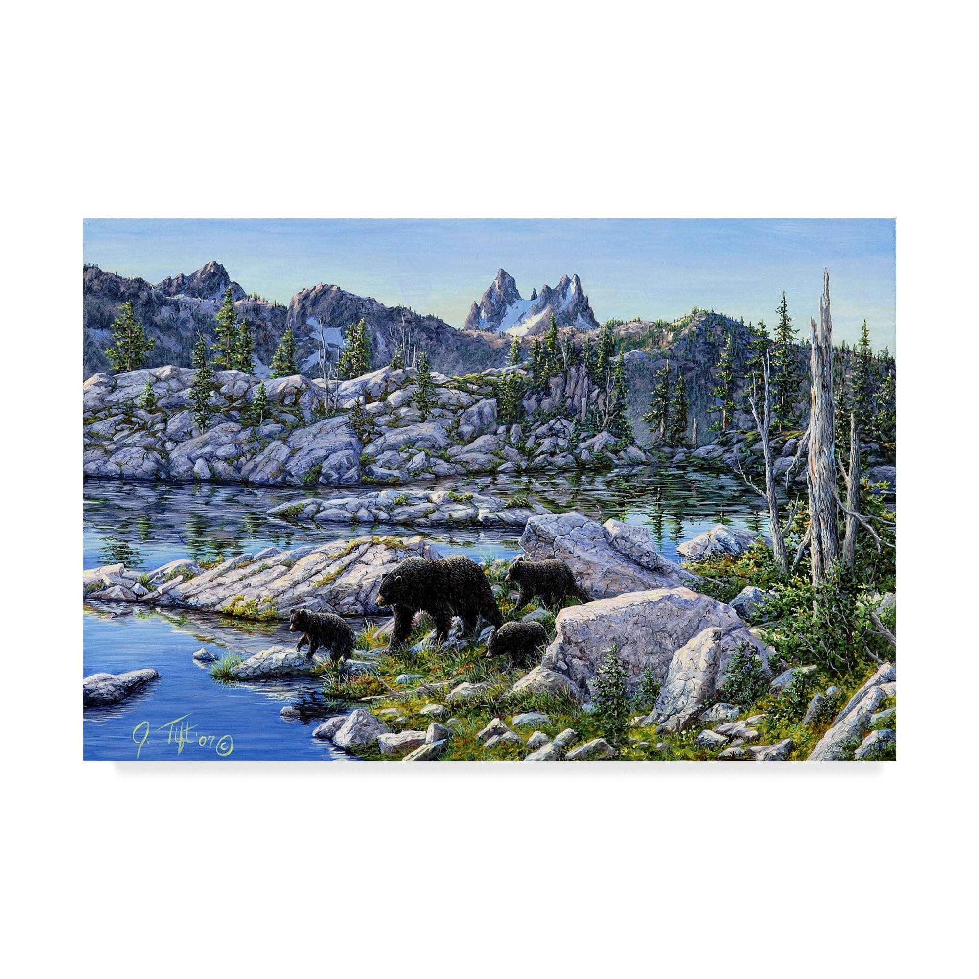 Black Bear Family Landscape Framed Canvas Art