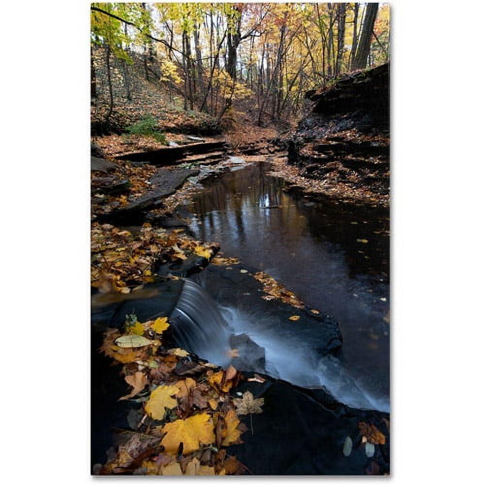 Autumn Stream Landscape Canvas Art in Fall Colors