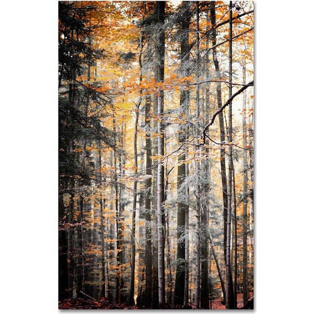 Autumn Forest Landscape Photographic Canvas Print