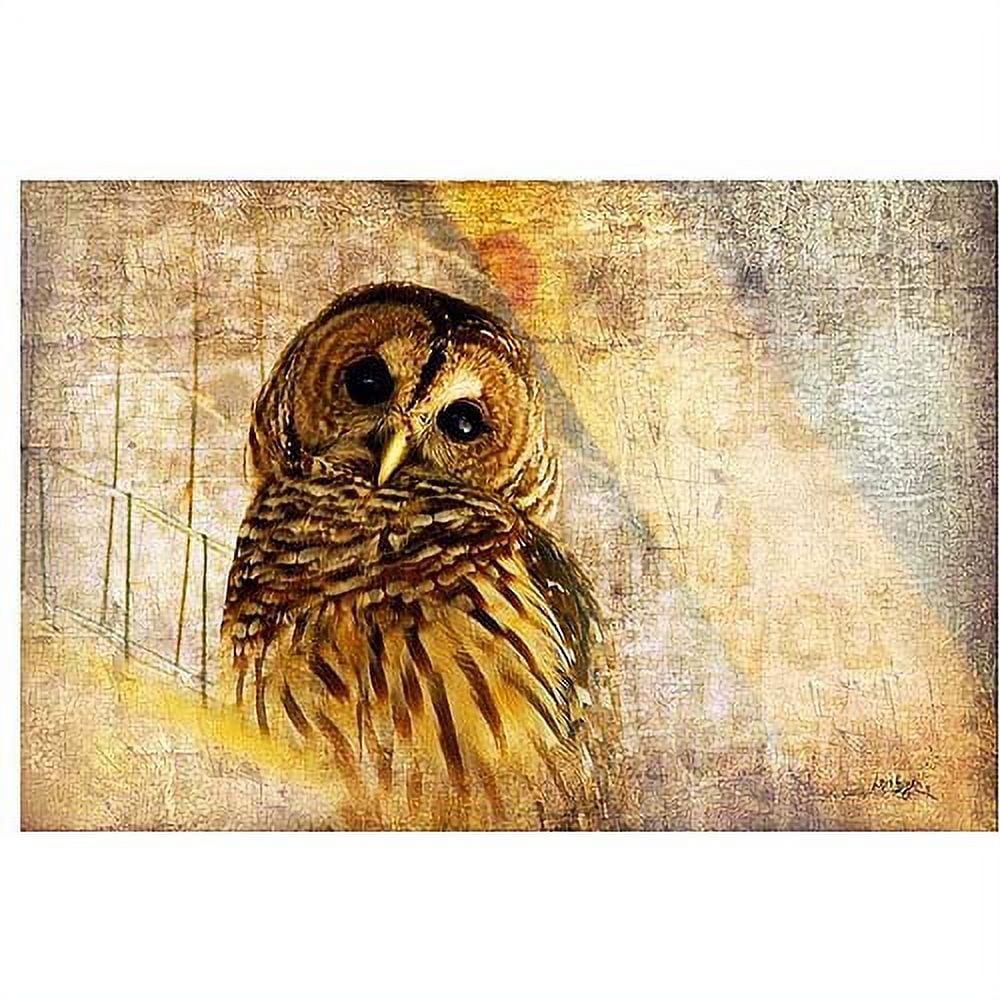 Framed Barred Owl Canvas Art in Warm Tones