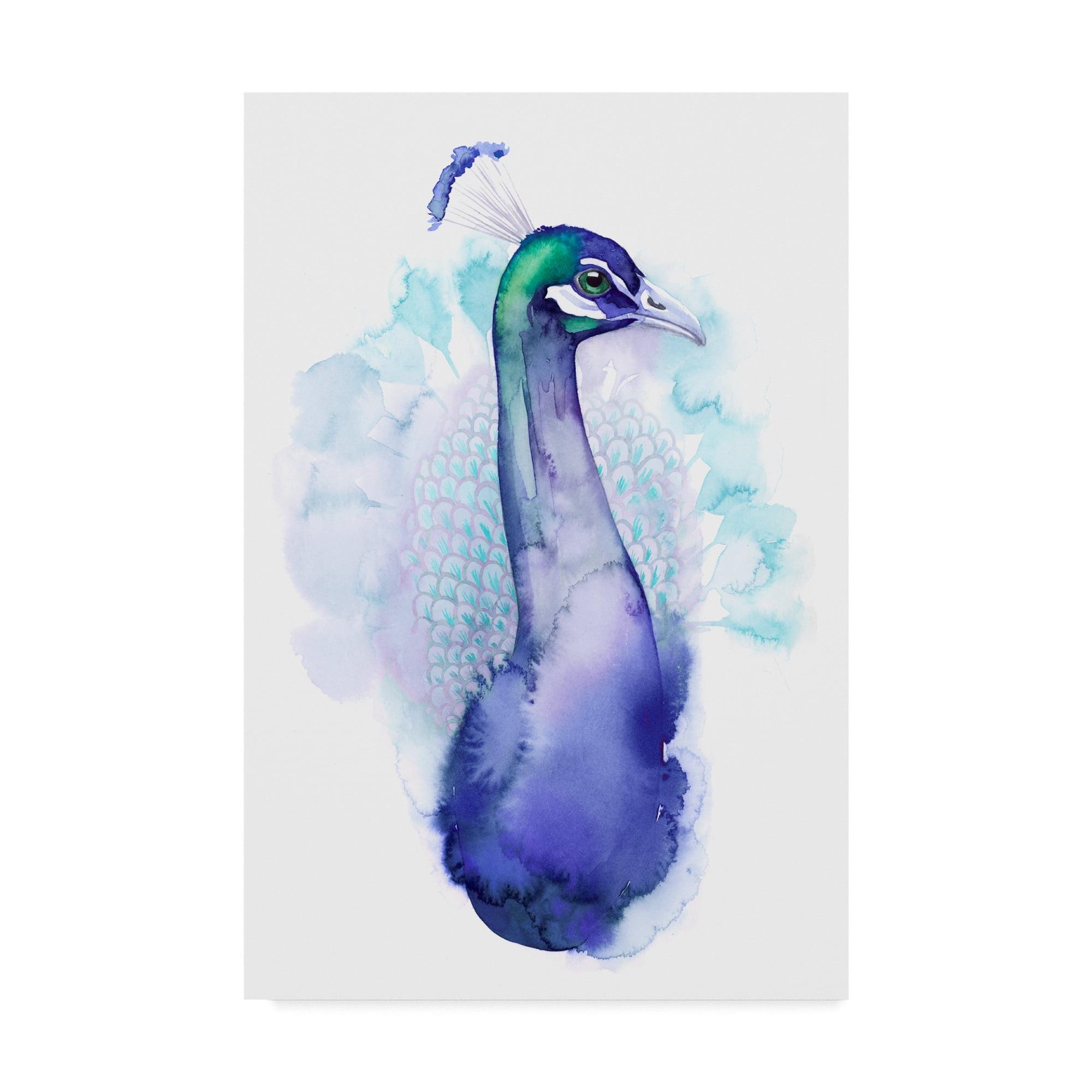 Trademark Fine Art 'Bejeweled Peacock I' Canvas Art by Grace Popp