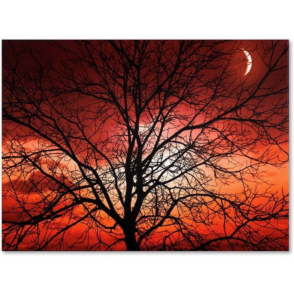 Big Bad Moon Landscape Framed Canvas Art, 22 x 32 Inch