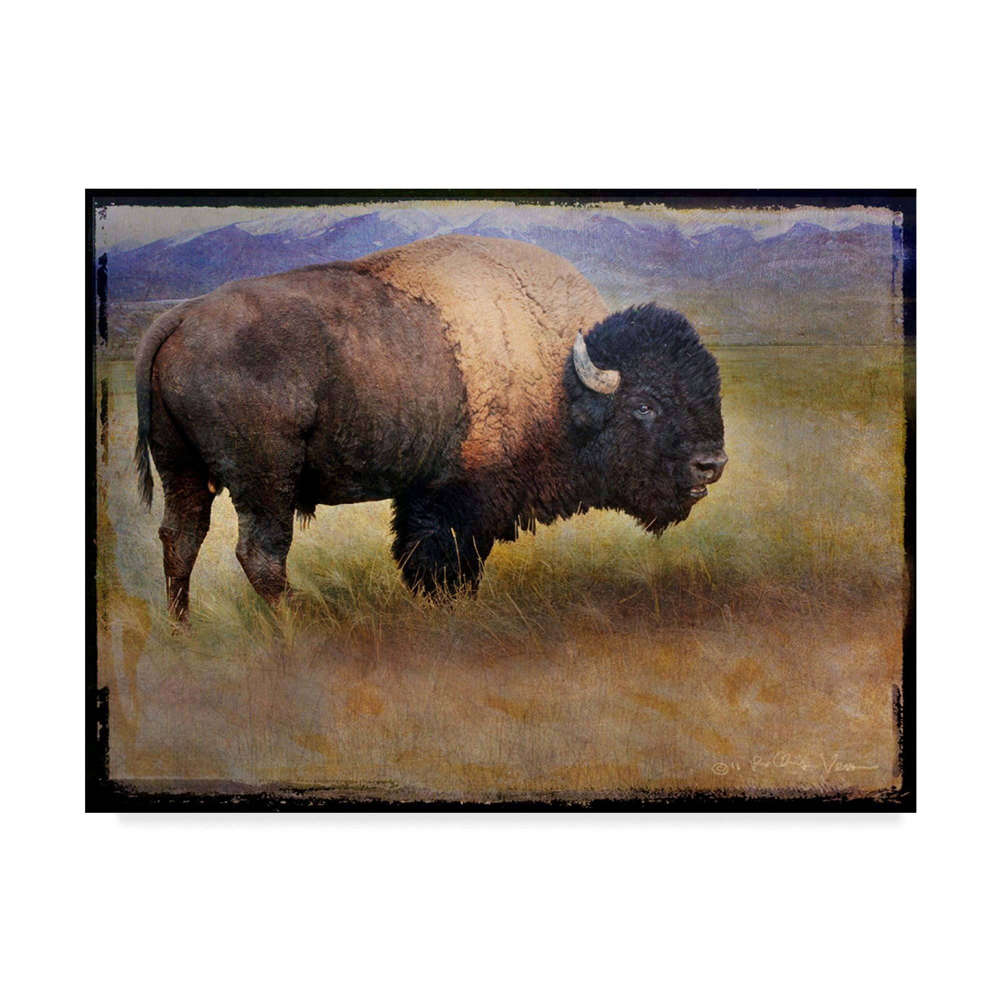 Framed 14x19 Tan and Black Bison Landscape Canvas Print