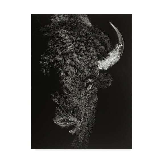 Trademark Fine Art 'Black Glimpse I' Canvas Art by Julie T. Chapman