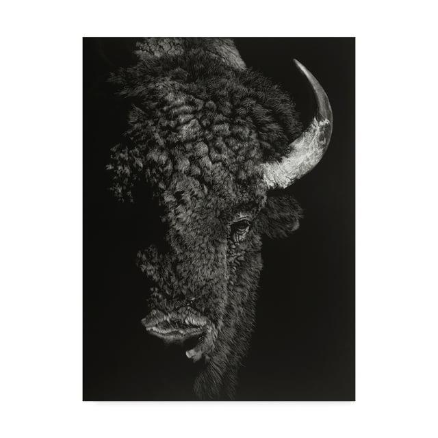 Trademark Fine Art 'Black Glimpse I' Canvas Art by Julie T. Chapman