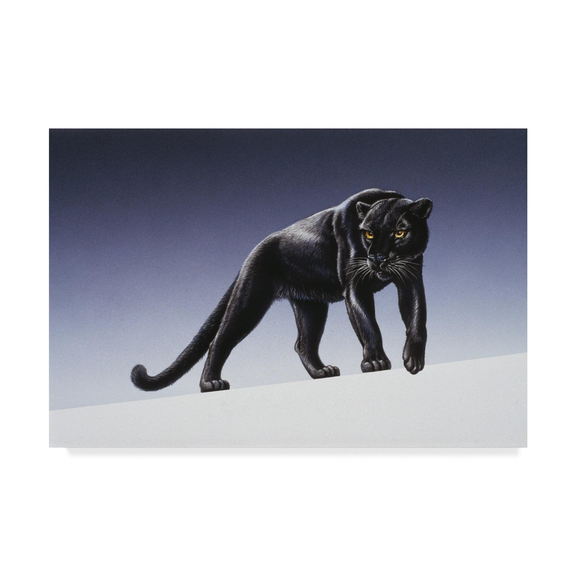 Black Panther Light Scene 16x24 Canvas Art