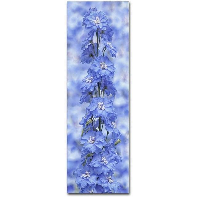 Trademark Fine Art 'Blue Larkspur' Canvas Art by Cora Niele
