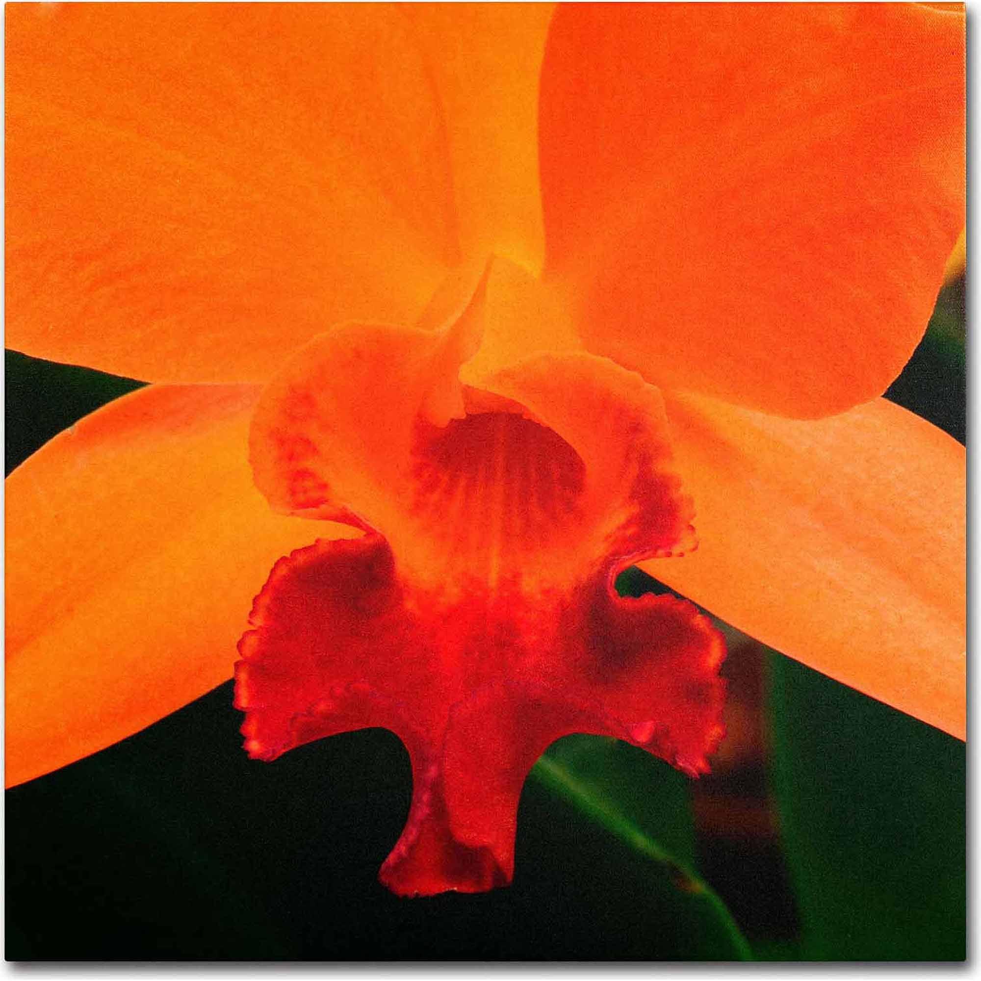 Brilliant Orchid on Fire 14-Inch Canvas Art