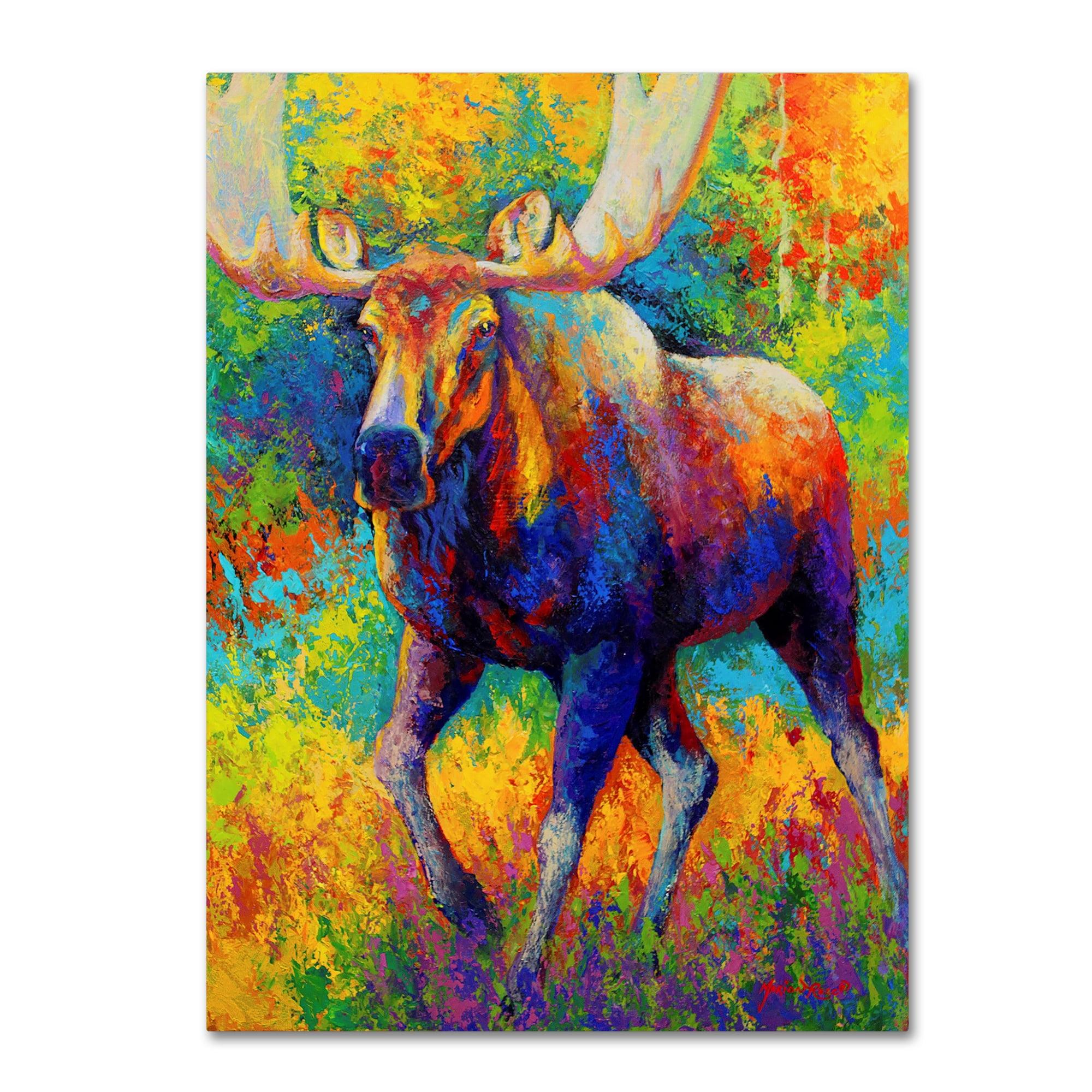 Trademark Fine Art Marion Rose " Bull Moose " by Marion Rose Painting Print