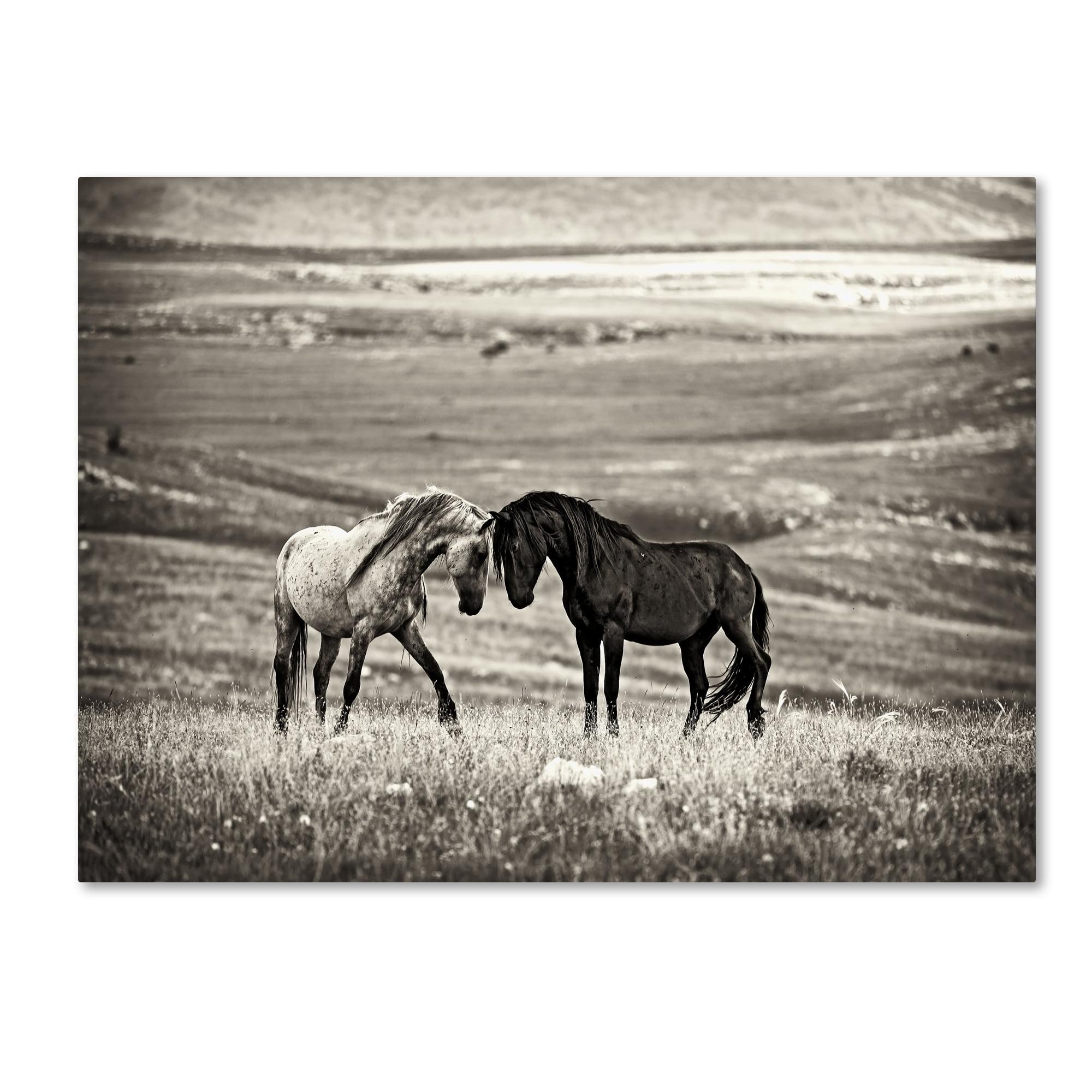 Black and White Horses Landscape Canvas Print