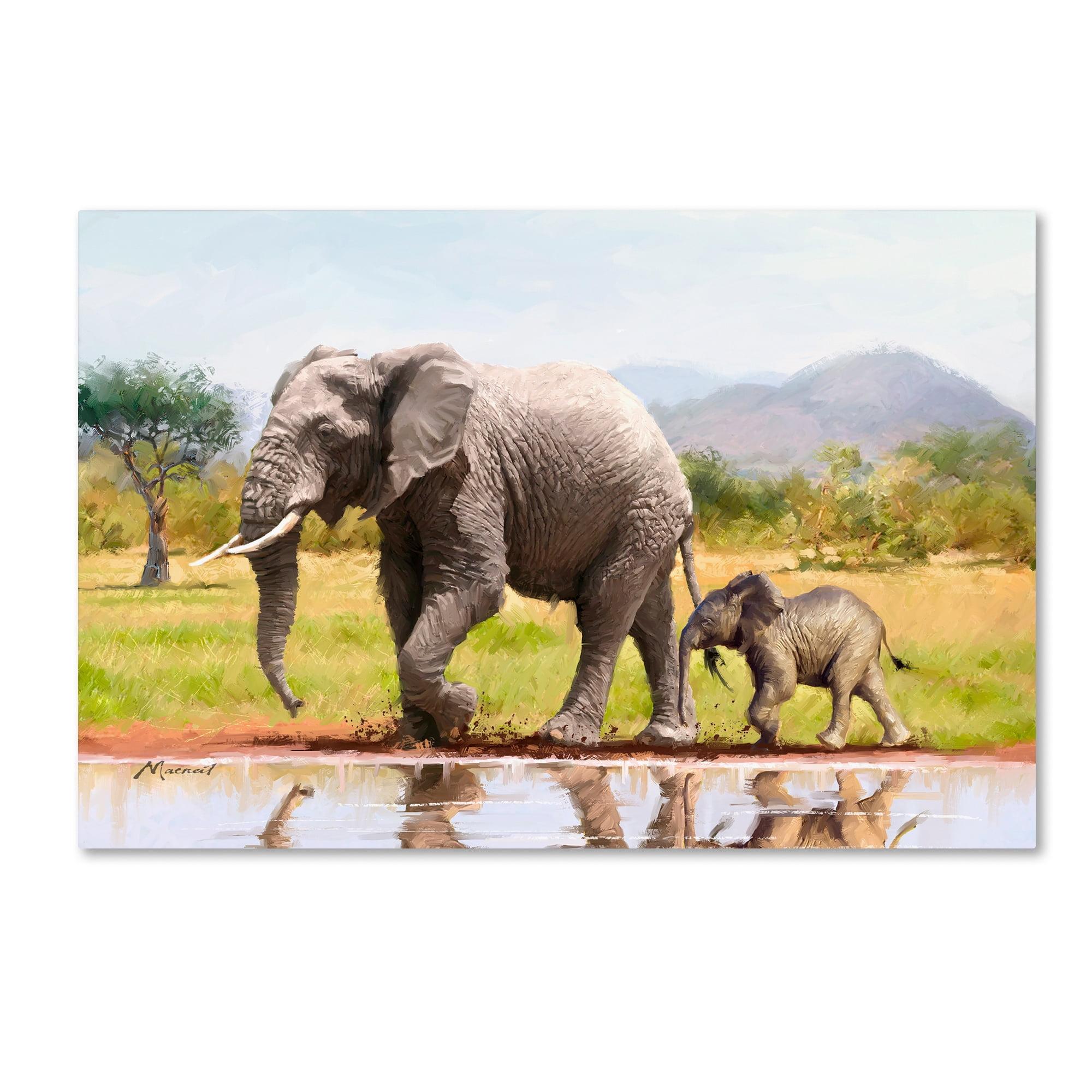 Mother and Baby Elephant Landscape Canvas Art