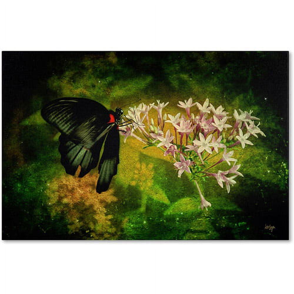 Fairyland Butterfly and Flowers Canvas Art Print