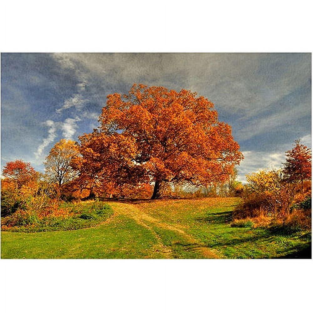 Autumn Landscape 18x24 Canvas Print with Orange Trees