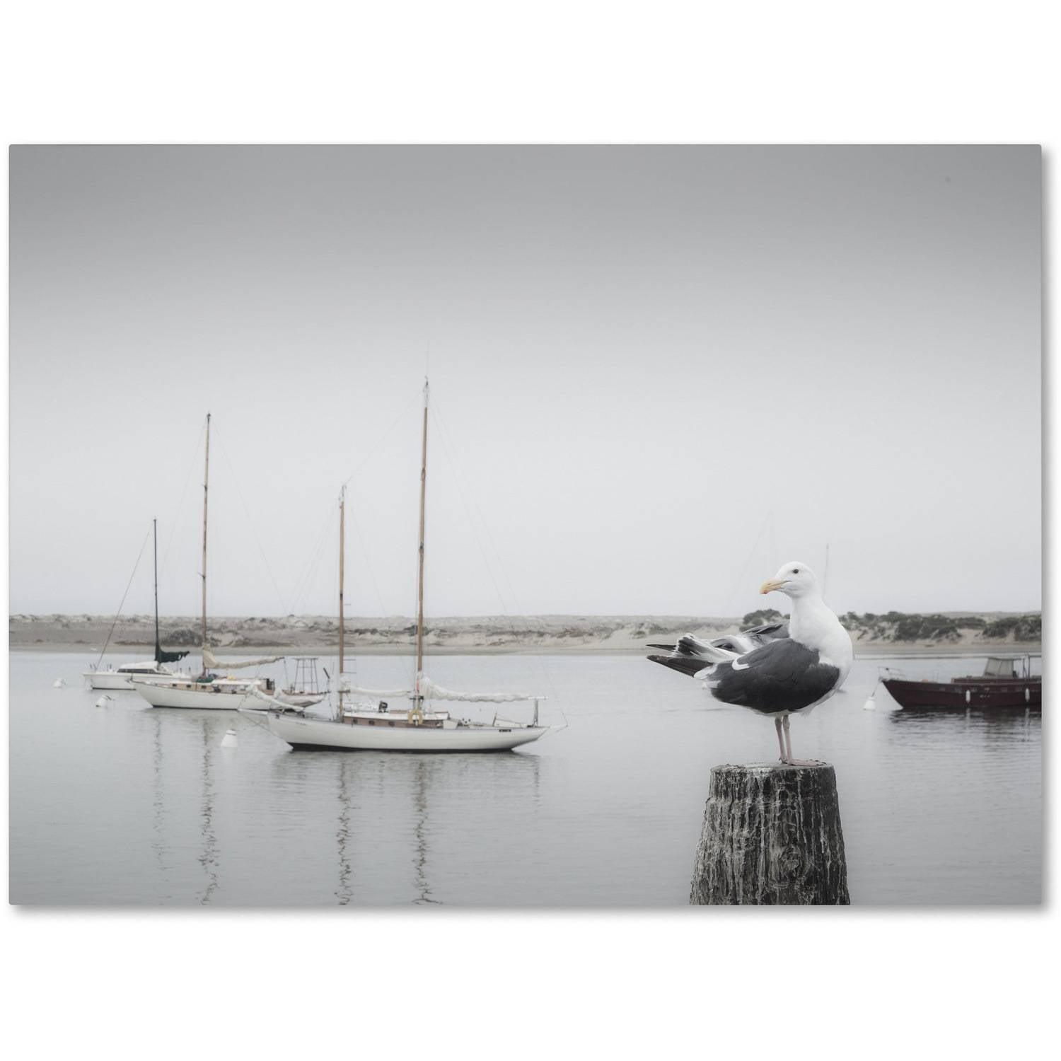 Trademark Fine Art "Four Boats and Seagull" by Moises Levy Photographic Print on Wrapped Canvas