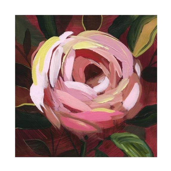 Trademark Fine Art - Grace Popp  Brushy Rose II Canvas Art - 35 x 35