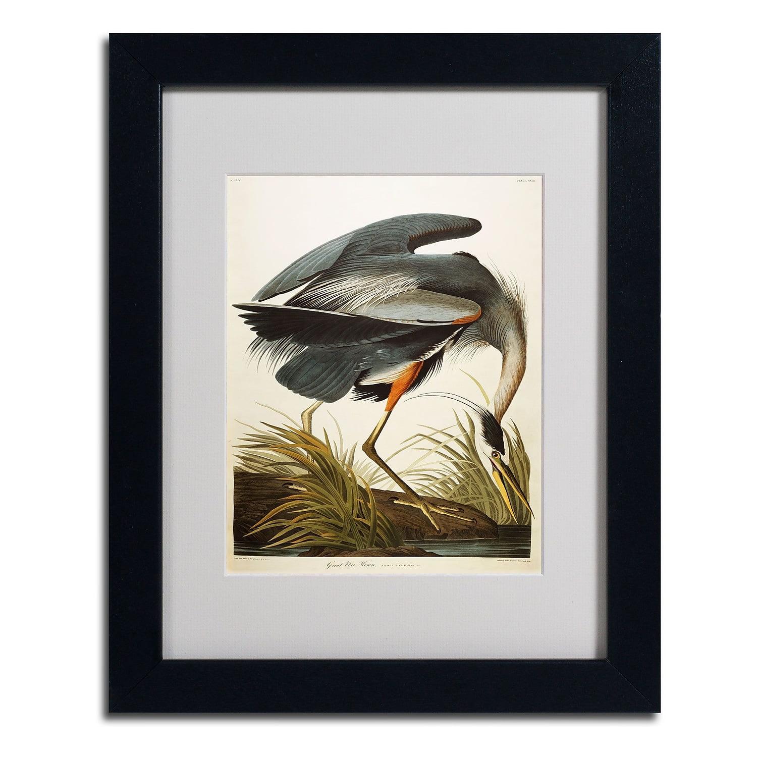 Great Blue Heron Framed Canvas Art with Black Wood Frame