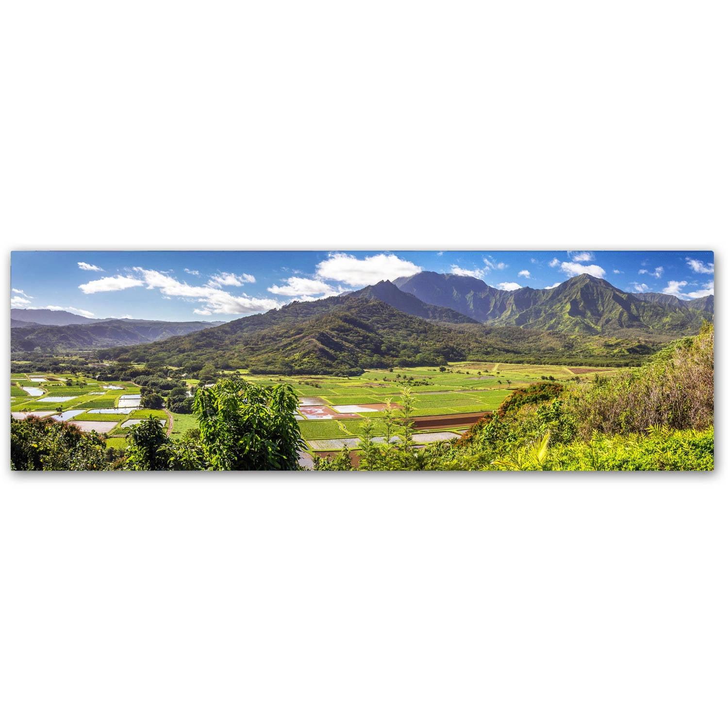 Trademark Fine Art Pierre Leclerc " Hanalei Kauai " by Pierre Leclerc
