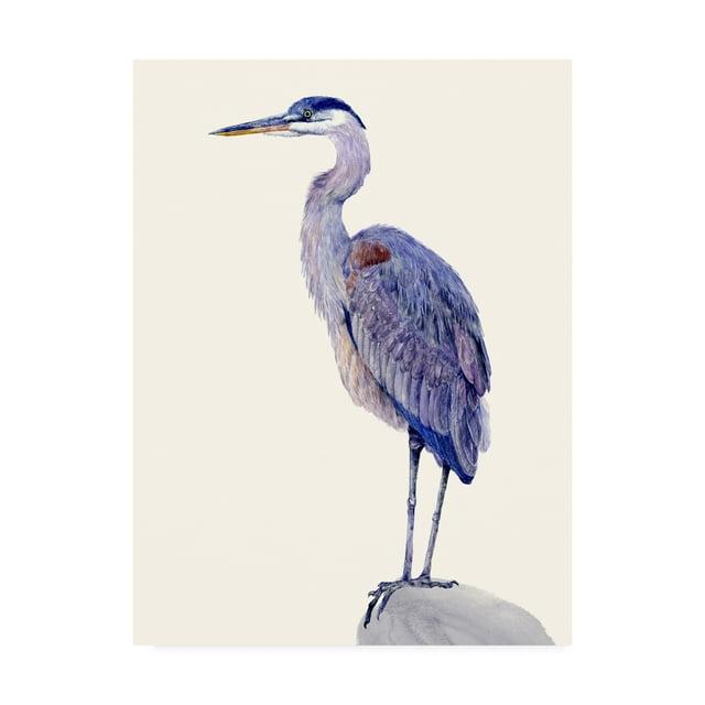 Trademark Fine Art 'Heron Study I' Canvas Art by Melissa Wang