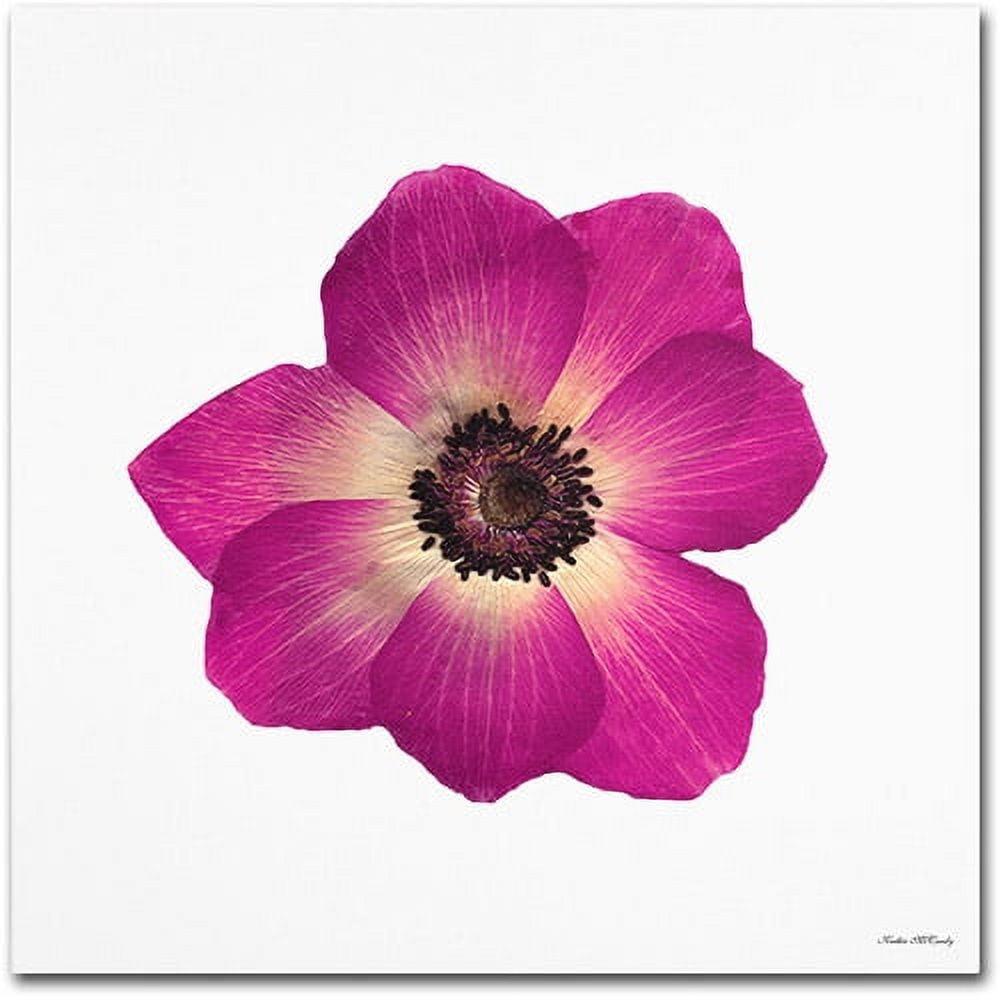 'Hot Pink Flower Photographic Print