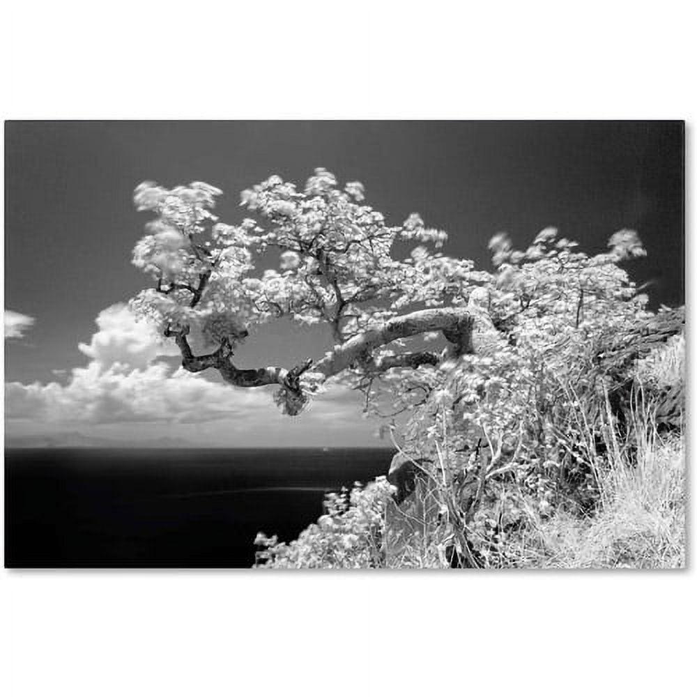 Black and White Landscape Canvas Art with Tree, 30" x 47"