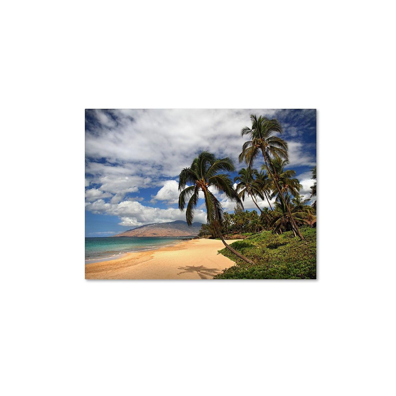 Kamaole Tropical Beach Landscape Canvas Art, 16 x 24