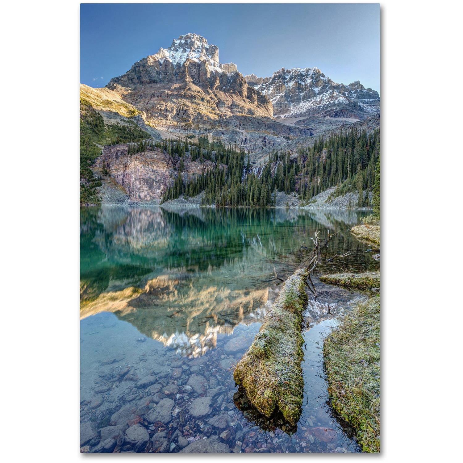 Trademark Fine Art "Lake O'Hara Scenic Shoreline" by Pierre Leclerc Photographic Print on Wrapped Canvas