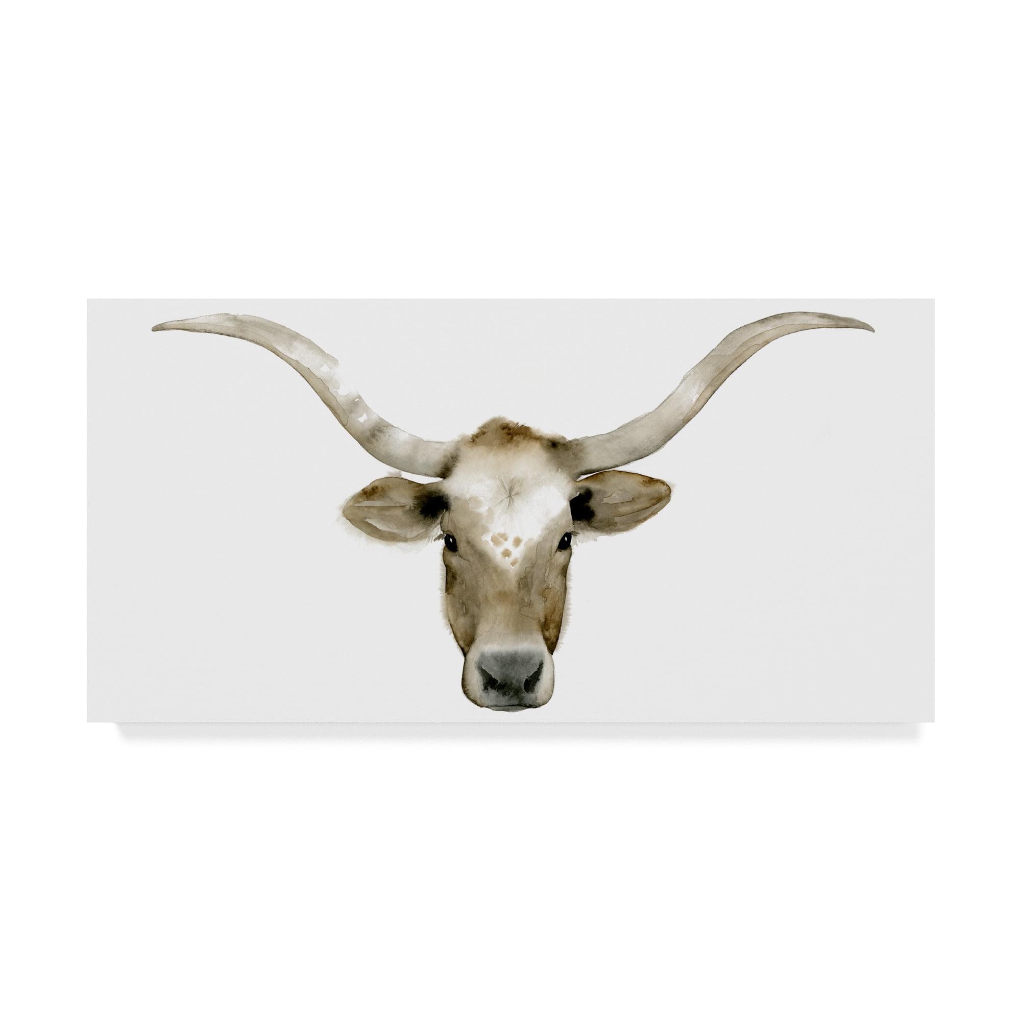 Grace Popp Longhorn Steer II Framed Canvas Art 12 x 24