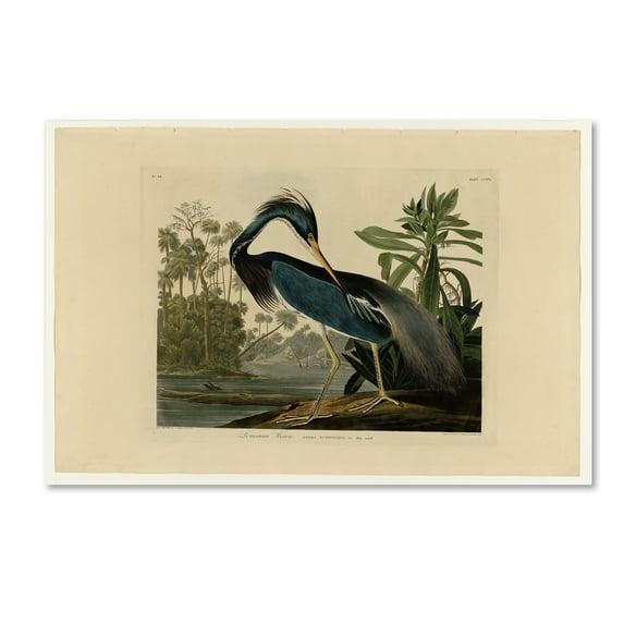 Trademark Fine Art 'Louisiana Heron' Canvas Art by John James Audobon