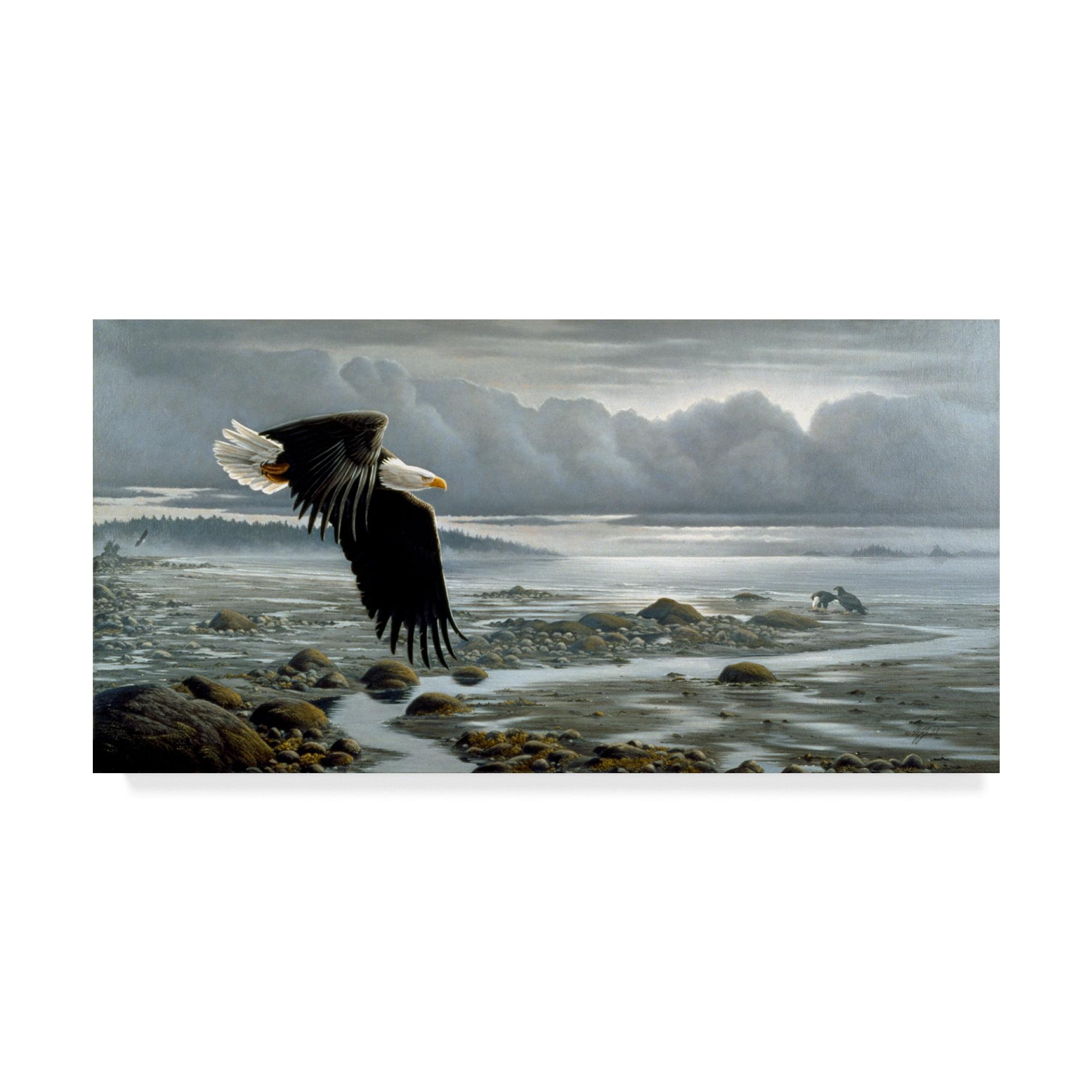 Low Tide Bald Eagle Canvas Art in Landscape Frame