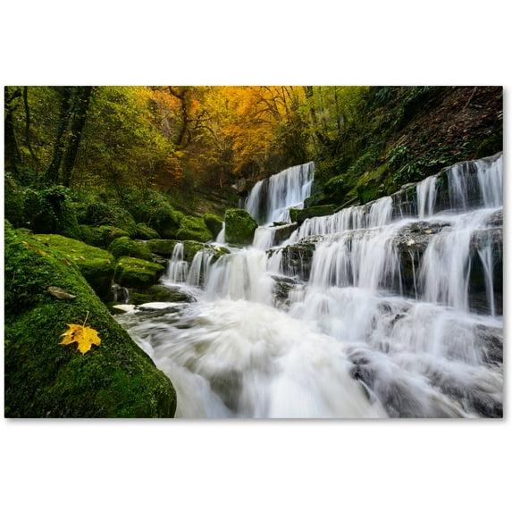 Millwood Pines The Song of the Autumn by Mathieu Rivrin - Wrapped Canvas Photograph Print | Wayfair