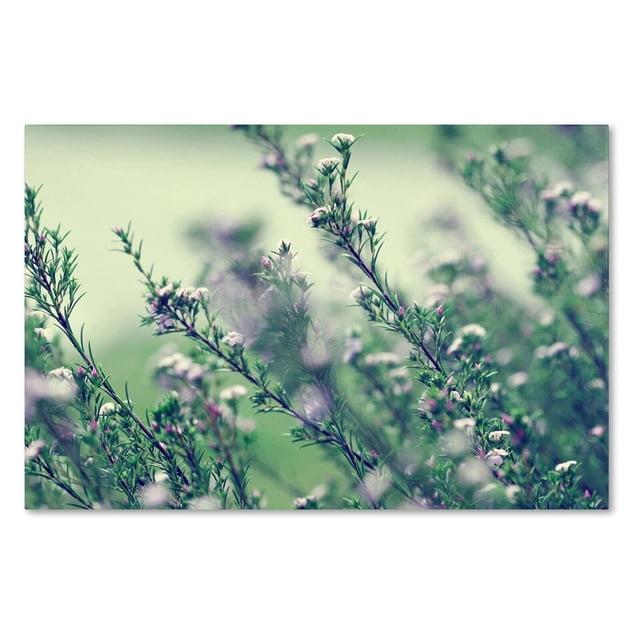 Trademark Fine Art " Memories Of Summer " by Beata Czyzowska Young