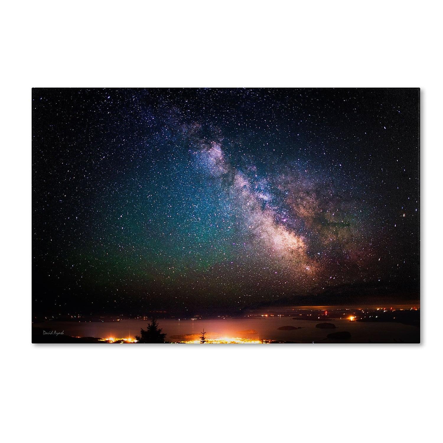 Milky Way Over Acadia National Park Framed Canvas Art