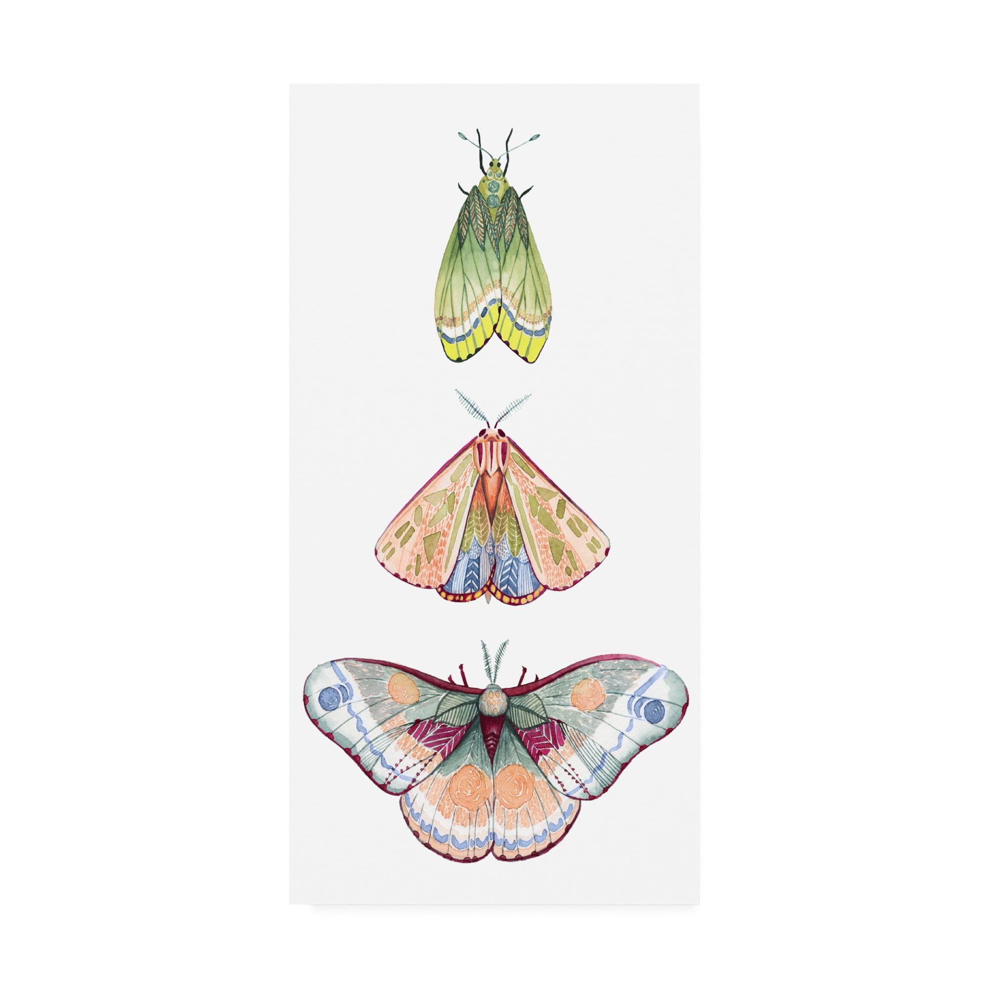 Grace Popp Moth Fairies II 10x19 Canvas Art