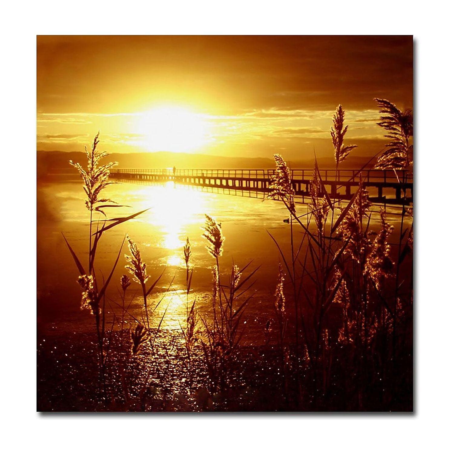 Trademark Fine Art "My Date with the Sun" Canvas Art by Beata Czyzowska Young