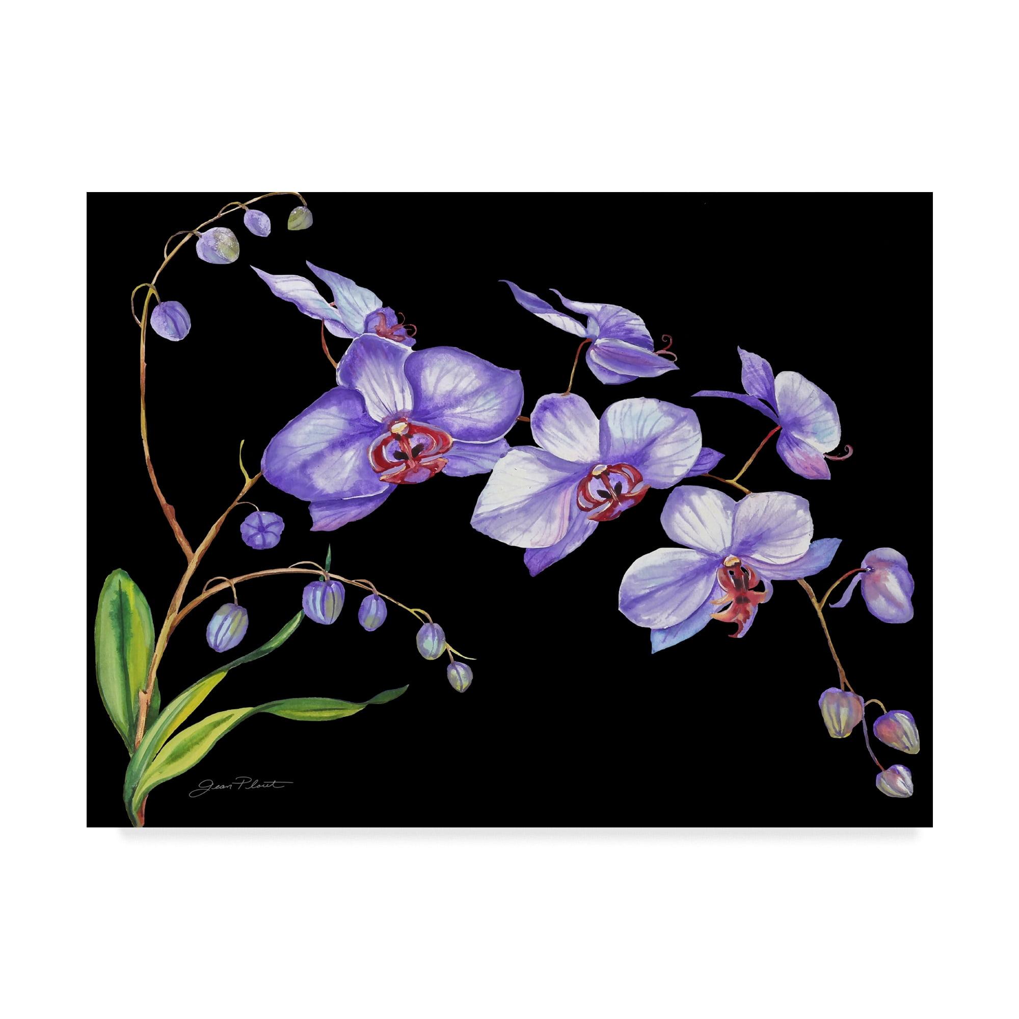 Jean Plout " Orchids Purple Black " by Jean Plout