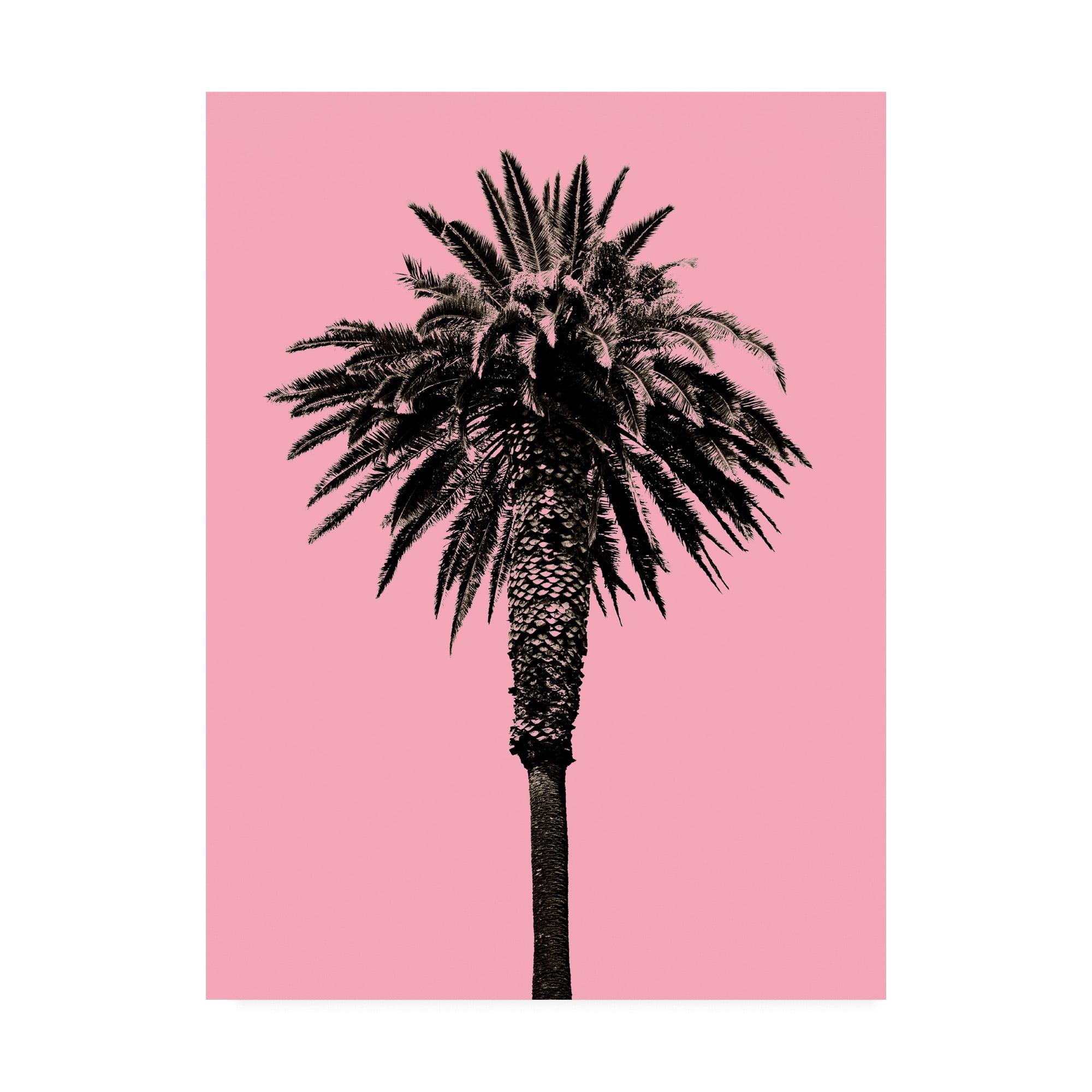 Trademark Fine Art 'Palm Tree 1996 (Pink)' Canvas Art by Erik Asl